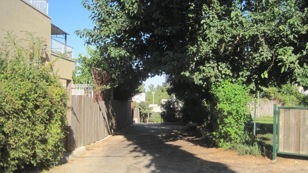 The House By The Mulberry Tree Apartment Neve Ilan Exterior photo